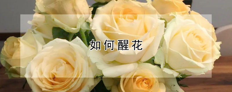 如何醒花