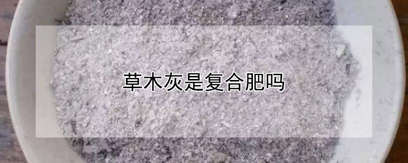 草木灰是復合肥嗎