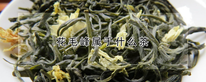 花毛峰屬于什么茶