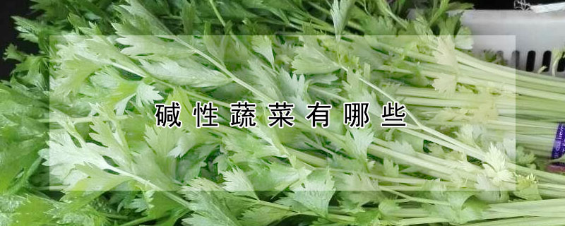 堿性蔬菜有哪些