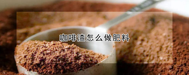 咖啡渣怎么做肥料