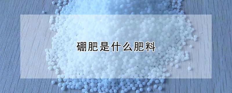 硼肥是什么肥料