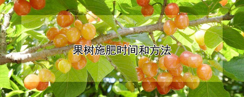 果樹施肥時(shí)間和方法