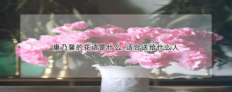 康乃馨的花語是什么,適合送給什么人