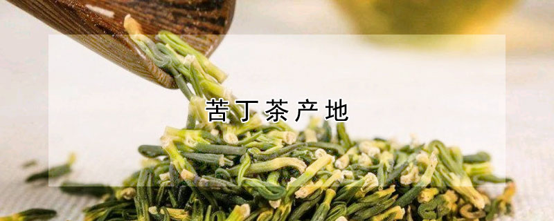 苦丁茶產地