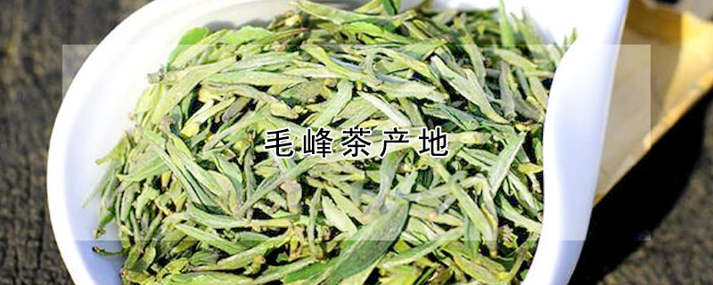 毛峰茶產(chǎn)地