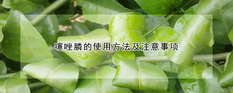 噻唑膦的使用方法及注意事項