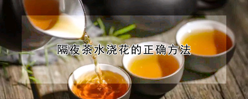 隔夜茶水澆花的正確方法