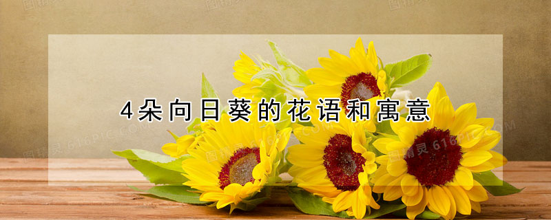 4朵向日葵的花語和寓意