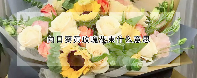 向日葵黃玫瑰花束什么意思