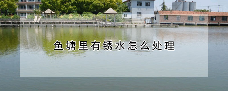 魚(yú)塘里有銹水怎么處理