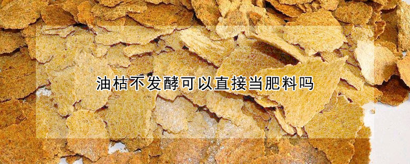 油枯不發酵可以直接當肥料嗎