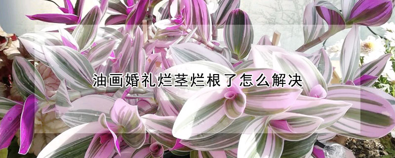 油畫婚禮爛莖爛根了怎么解決