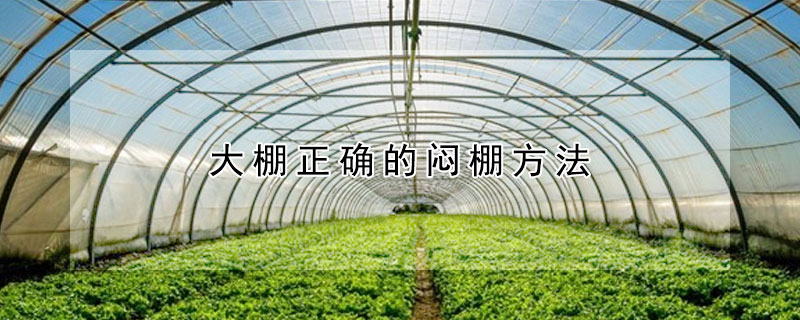 大棚正確的悶棚方法