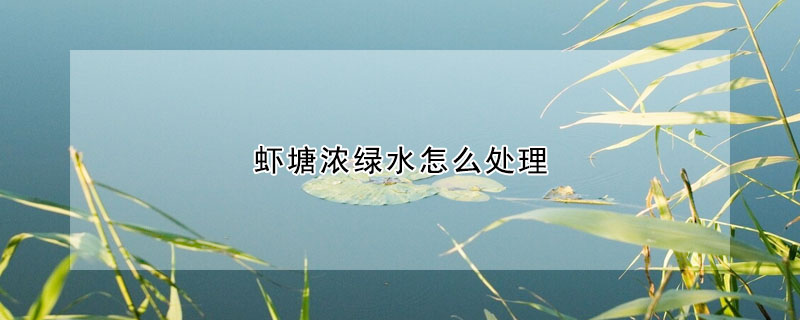 蝦塘濃綠水怎么處理