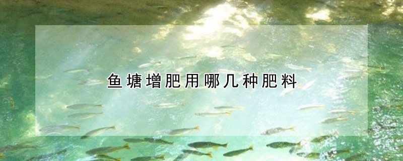 魚塘增肥用哪幾種肥料