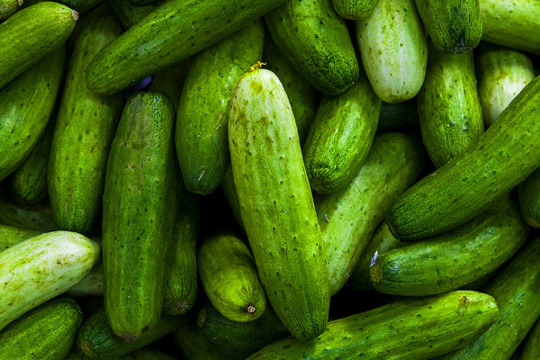 夏季時令蔬菜大全 夏季蔬菜有哪些種類