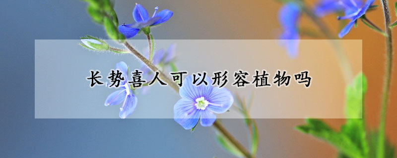 長勢喜人可以形容植物嗎