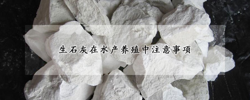 生石灰在水產(chǎn)養(yǎng)殖中注意事項(xiàng)