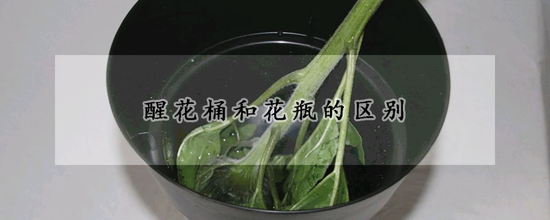 醒花桶和花瓶的區(qū)別