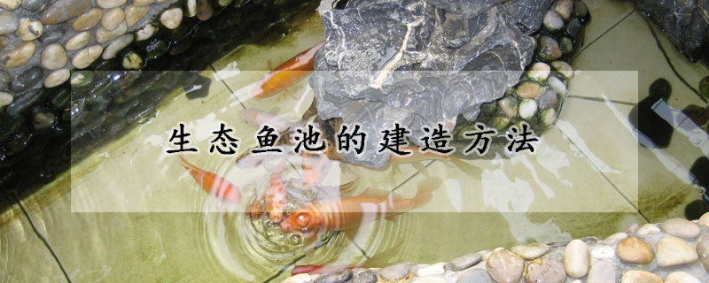 生態魚池的建造方法