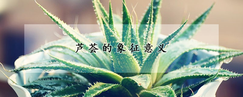 蘆薈的象征意義