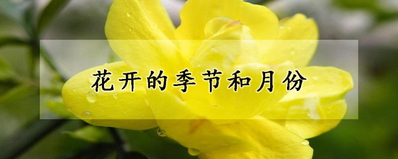 花開的季節和月份