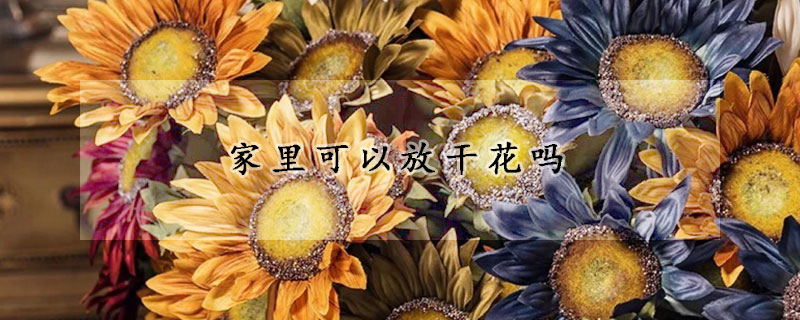 家里可以放干花嗎