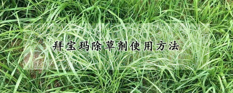 拜寶瑪除草劑使用方法