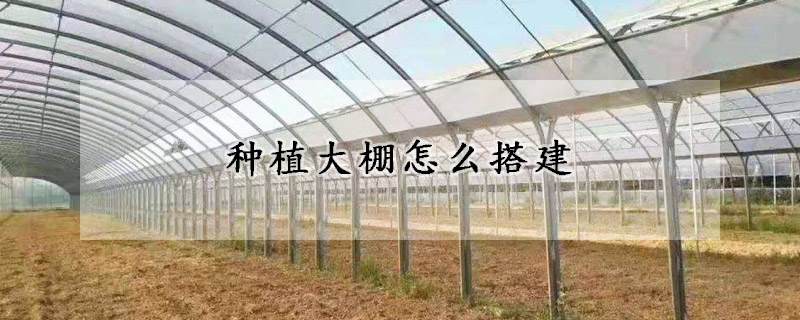 種植大棚怎么搭建