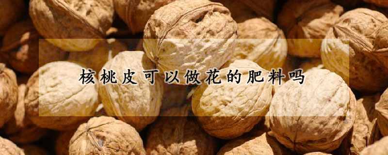 核桃皮可以做花的肥料嗎