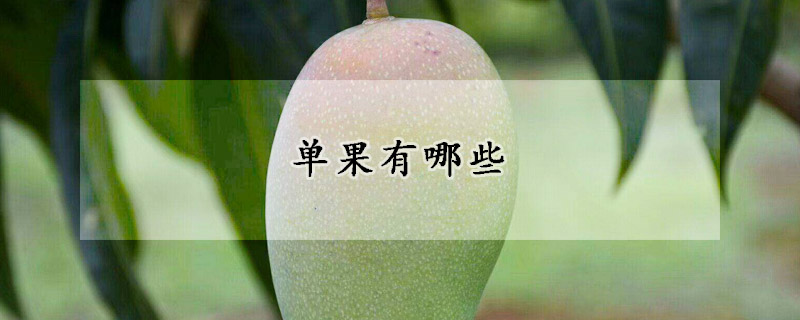 單果有哪些