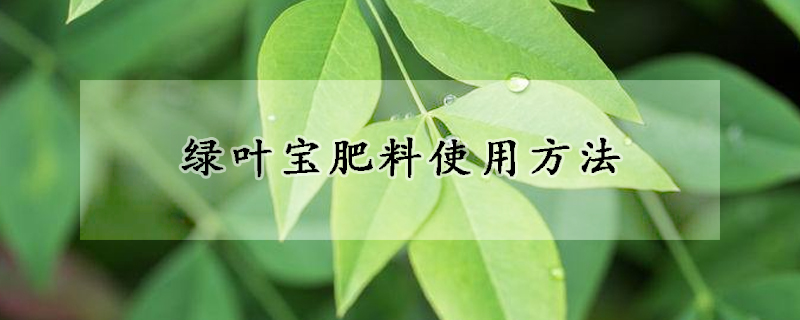 綠葉寶肥料使用方法