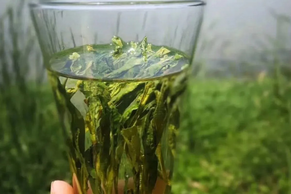 太平猴魁茶是綠茶還是紅茶 太平猴魁茶是不是綠茶