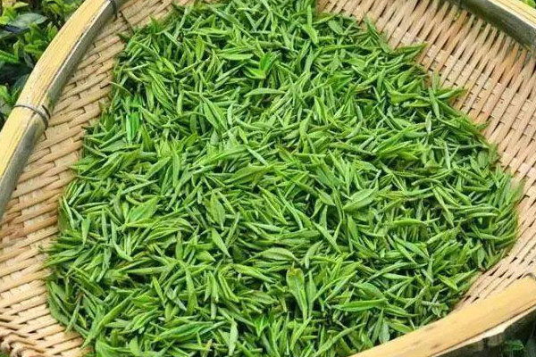 毛尖茶屬于綠茶嗎，毛尖是不是綠茶