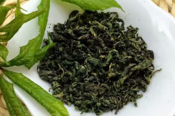 刺五加茶是什么茶，刺五加茶屬于哪種茶