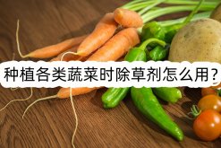 <strong>種植各類蔬菜時除草劑怎么用？</strong>