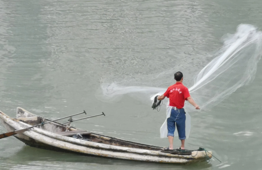 6指粘網一般捕多大魚？不同粘網的捕魚范圍