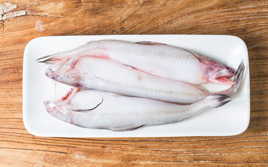 龍頭魚特點和養殖技術分享