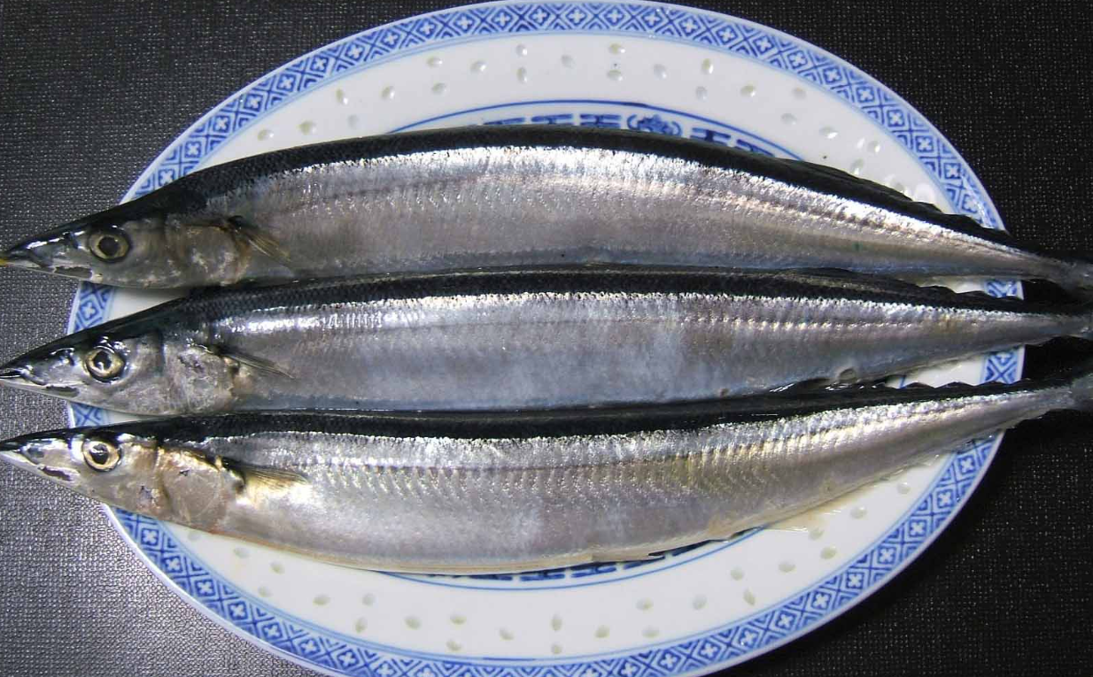 刀魚是什么魚？有哪些營(yíng)養(yǎng)價(jià)值？