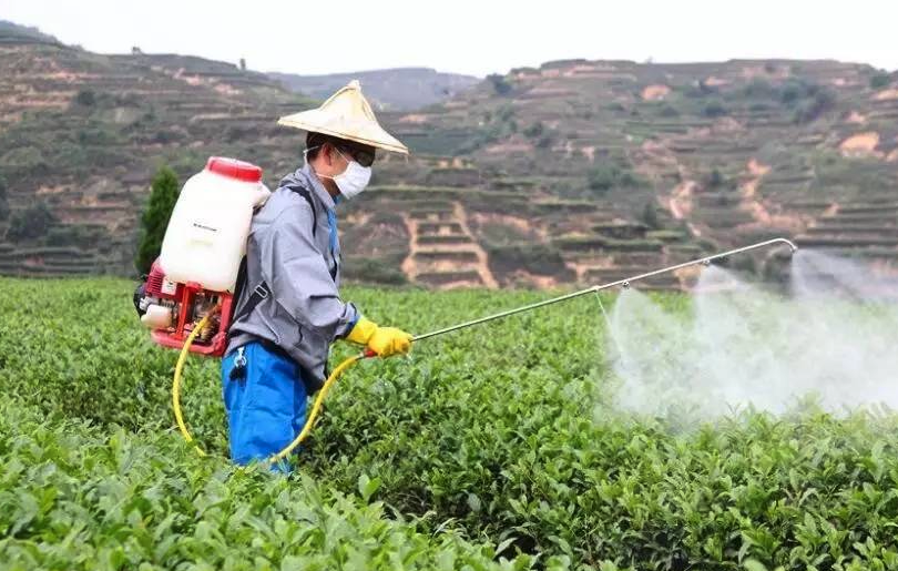 生物刺激劑有哪些？需要注意哪些方面？