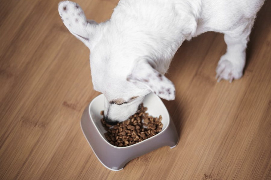 飼料中的初水和結合水有什么特點和區別？