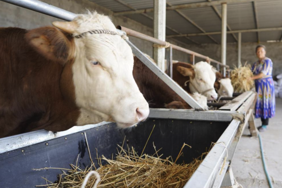 飼料中的初水和結合水有什么特點和區別？