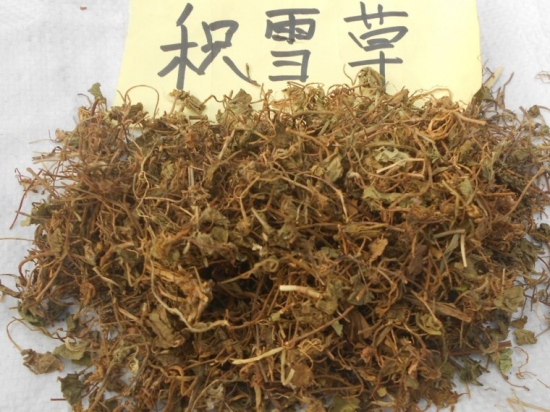 中藥積雪草：清熱利濕，消腫解毒；治痧氣腹痛，疔癰腫毒，跌打損傷等