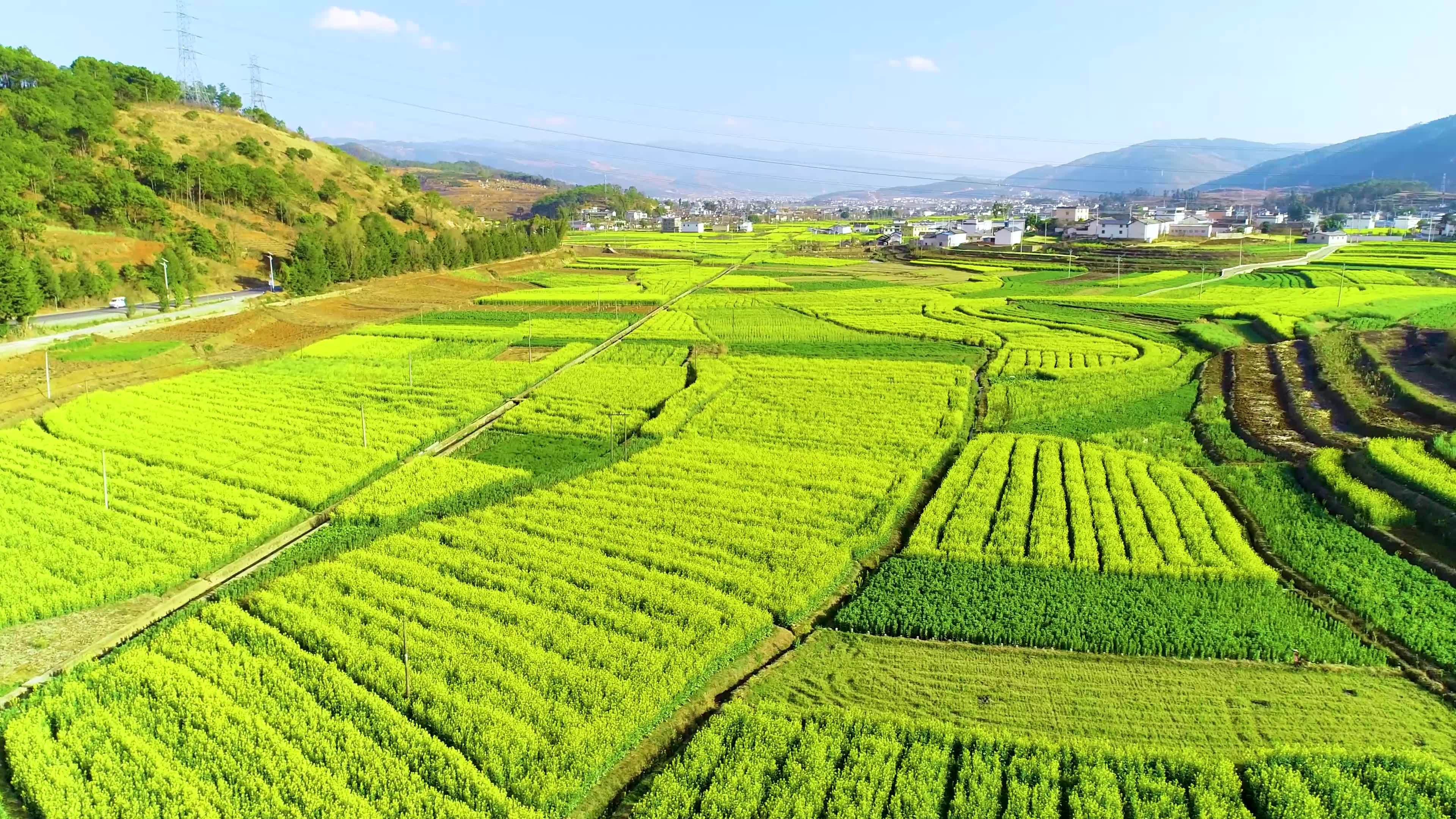 農(nóng)業(yè)種植施用化肥方案及注意事項