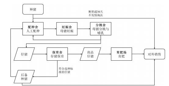 育肥豬高效飼養管理策略：優化環境、精準營養、精細管理與疾病防控