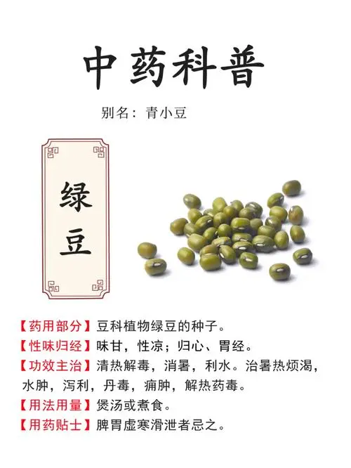 綠豆與健康-綠豆有解藥的作用是真的嗎？