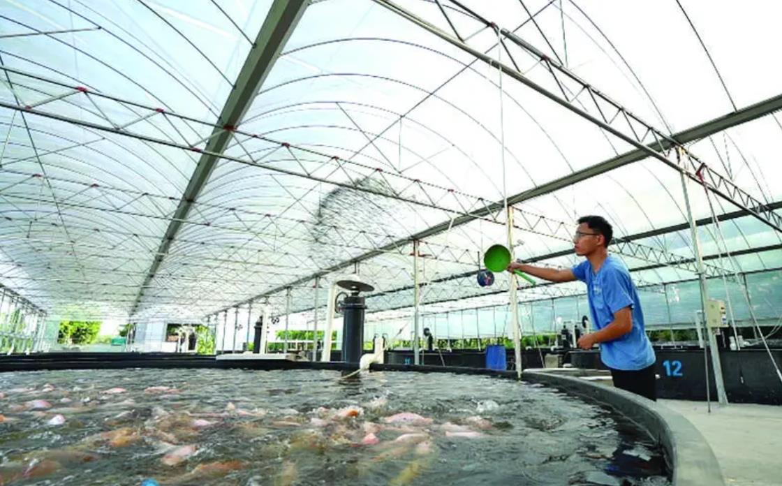 水產養殖自制飼料配方的原則及方法