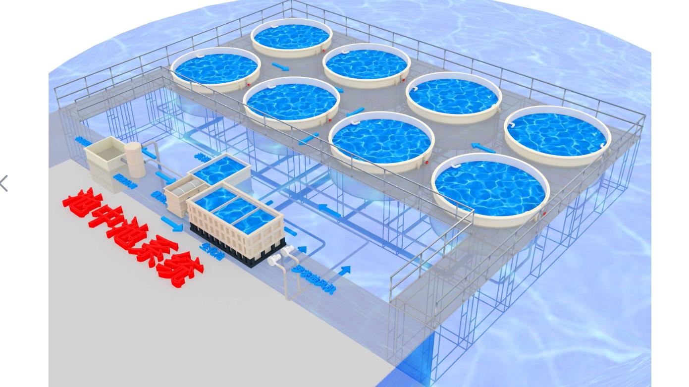 智慧漁業新模式-循環水養殖系統的優缺點分析